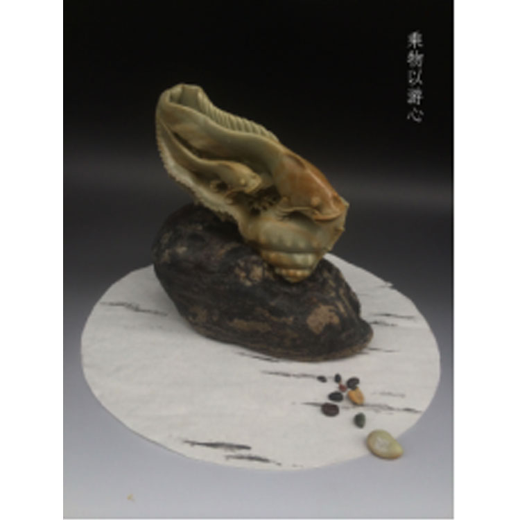 刘晓亮乘物以游心