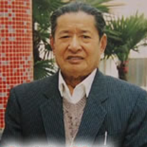 潘文锦
