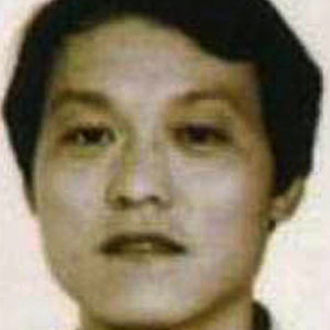 陈望平