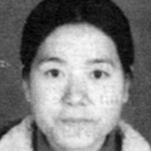 刘玉凤