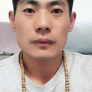 李凤杰