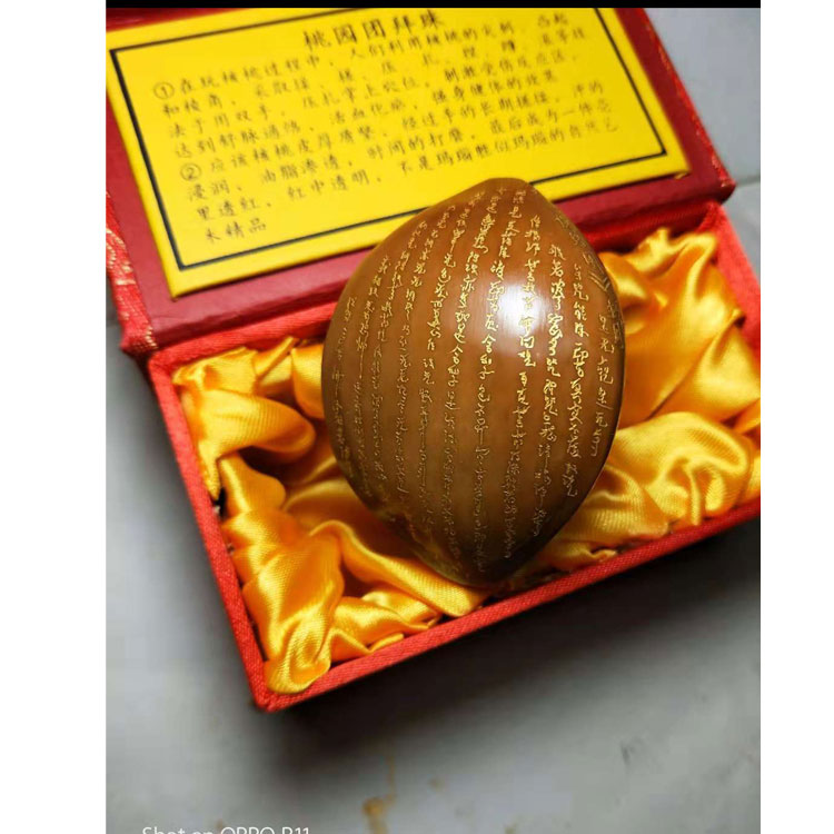 朱亚静作品合集