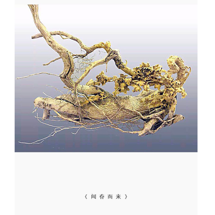 徐书建作品合集