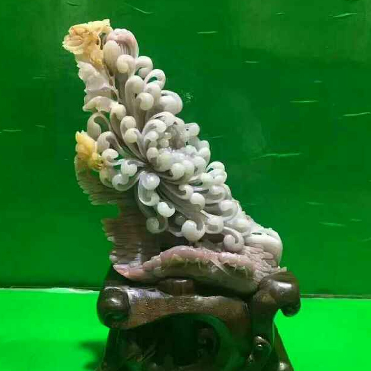 杨晓军作品合集