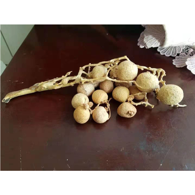 孙立成早生贵子