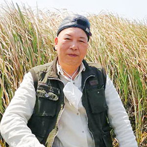陈仁