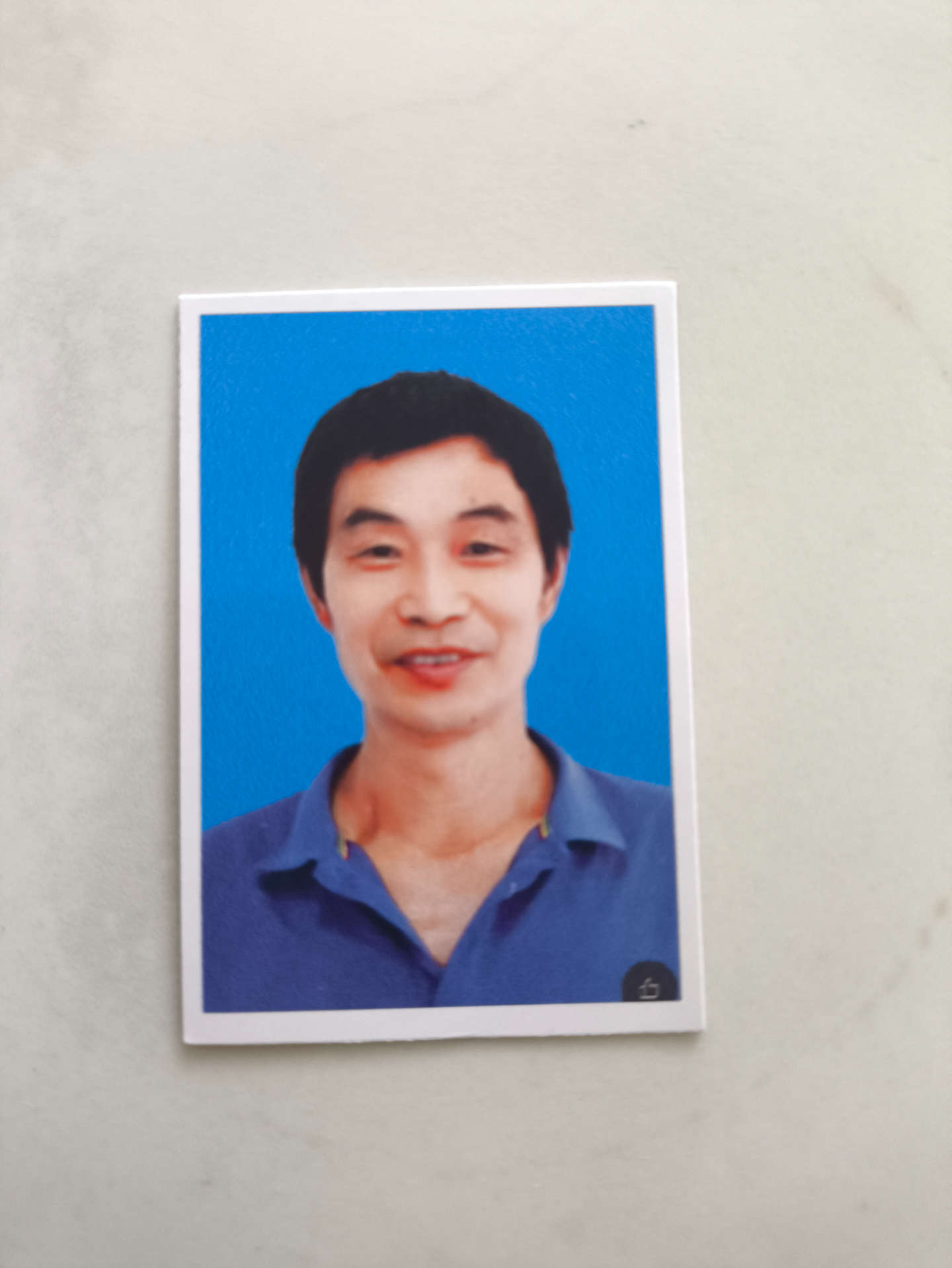 桂书